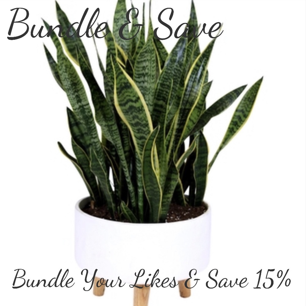 Bundle & Save